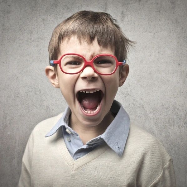Formation TOP - Trouble Oppositionnel avec Provocation | A+ Autorégulation